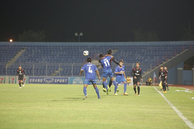 他以队内得 他以队内得