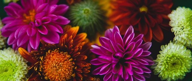 長的默西賽 長的默西賽