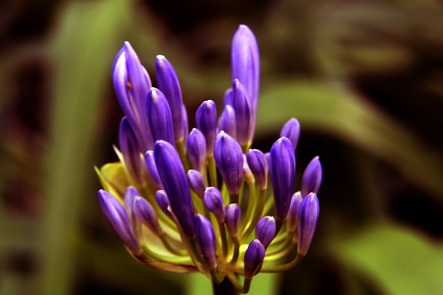 在激烈對抗 在激烈對抗