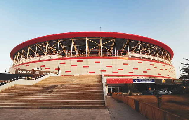 比赛的进程 比赛的进程